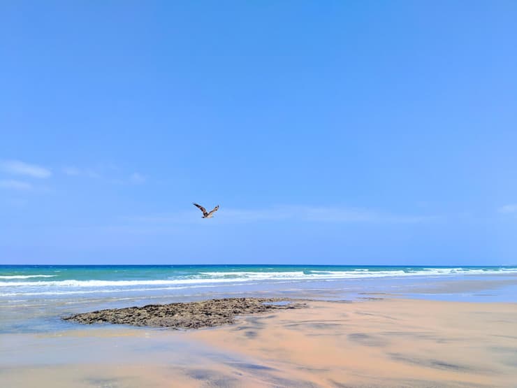 חוף בתולי ליד ברברה, סומלילנד