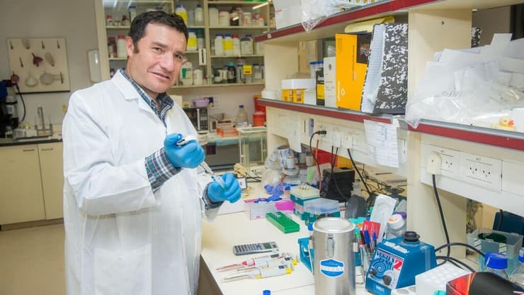 פרופ' חיים כהן, בר אילן (צילום: דוברות בר אילן) פרופ' חיים כהן, בר אילן