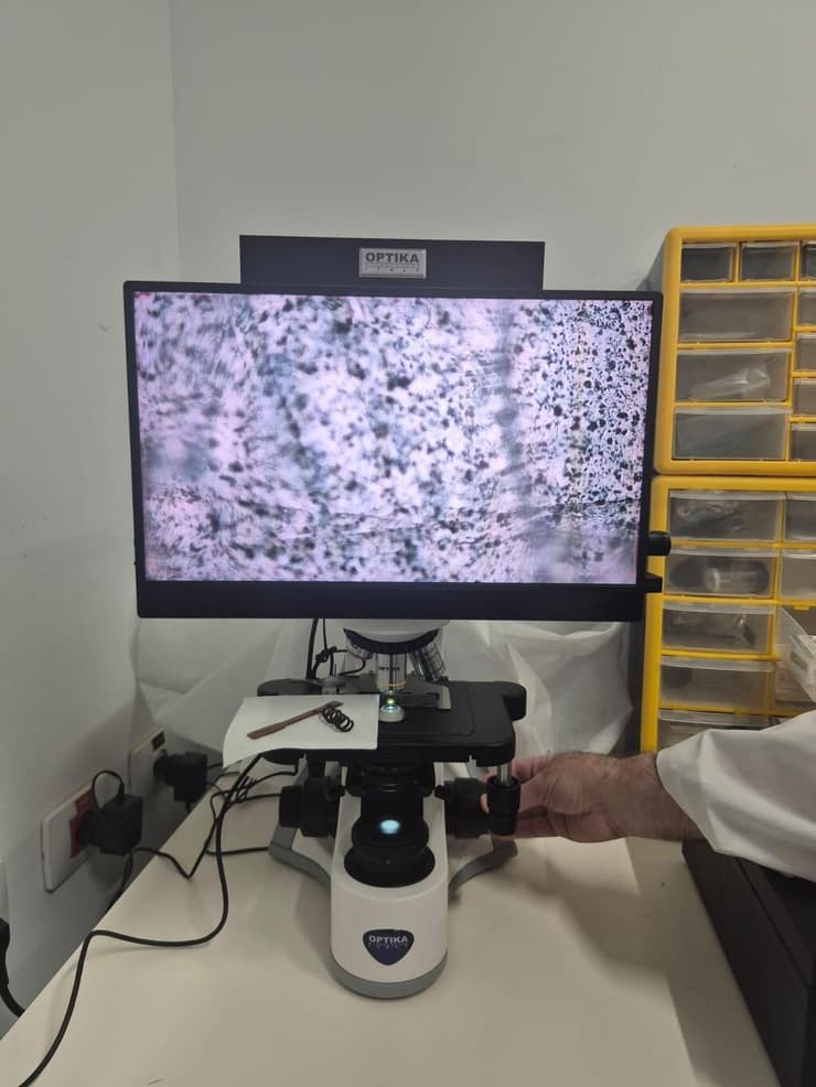 פולימר תחת מיקרוסקופ