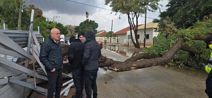 נפילת עץ במושב אחיעזר