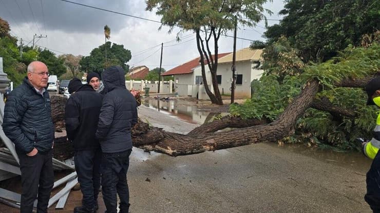 נפילת עץ במושב אחיעזר