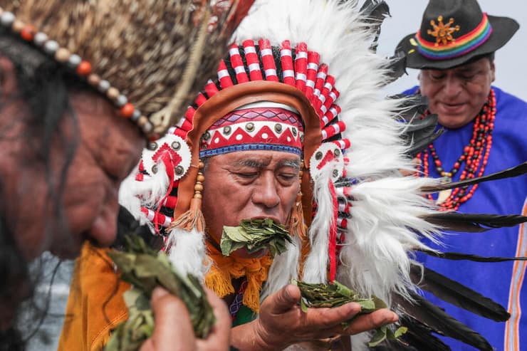 שמאנים ב פרו תחזית לשנת 2026