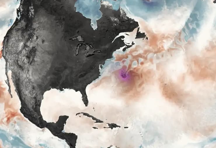 השפעת סופת ההוריקן (בסגול), על שחרור פחמן דו-חמצני (באדום) או קליטתו (בכחול) (צילום: DKRZ/MPI-M/UHH) השפעת סופת ההוריקן (בסגול), על שחרור פחמן דו-חמצני (באדום) או קליטתו (בכחול)