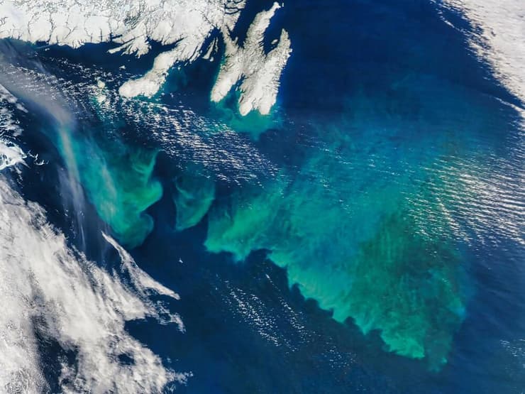 פריחת פיטופלנקטון בצפון האוקיינוס האטלנטי (צילום: BEST-BACKGROUNDS/Shutterstock) פריחת פיטופלנקטון בצפון האוקיינוס האטלנטי