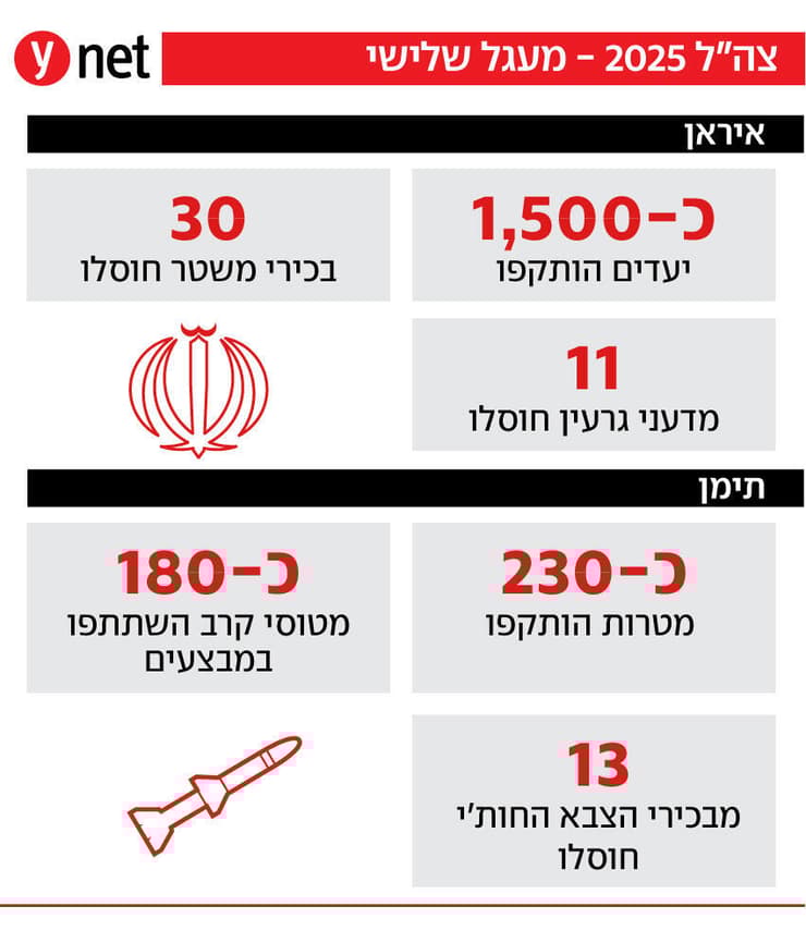 נתוני סיכום השנה של צה"ל על הלחימה בזירות השונות