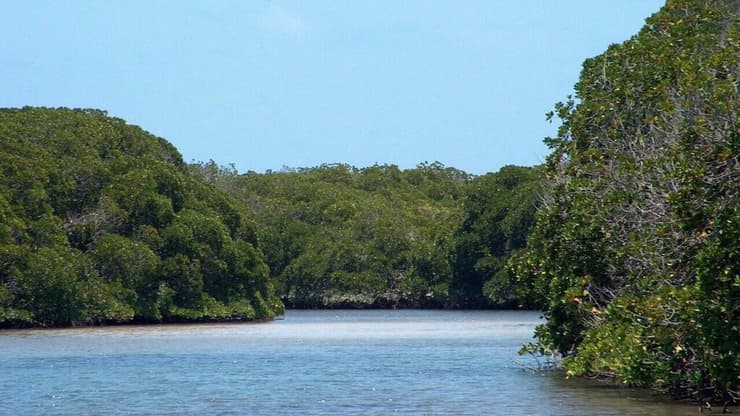 אגם בסומלילנד (צילום: באדיבות יואב מגד) סומלילנד