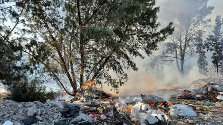 אשפה ביער באזור המרכז