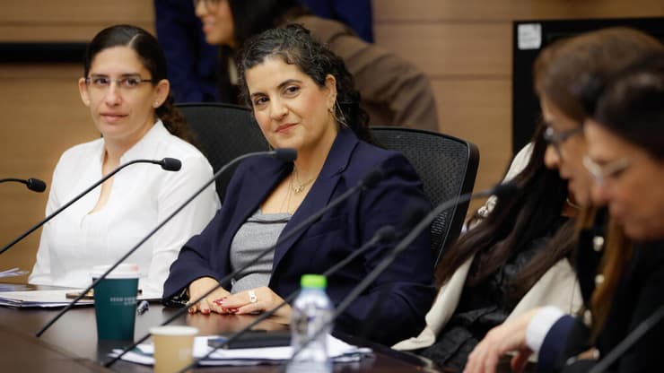 יועמ"שית ועדת הכספים, שלומית ארליך (צילום: דוברות הכנסת) שלומית ארליך