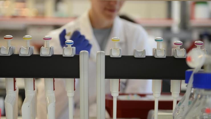 צילום: באדיבות מכון ויצמן למדע