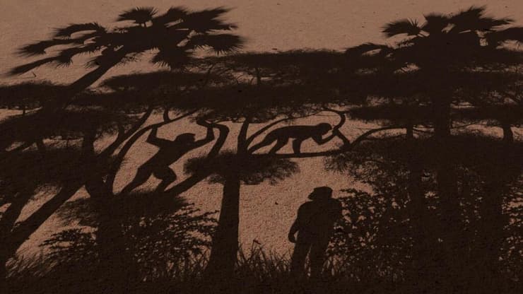 איור שממחיש את יכולת התנועה של סהאלנתרופוס צ'אדנסיס על העצים, אך גם בהליכה על שתיים בירידה אל הקרקע (איור: Sabine Riffaut, Guillaume Daver, Franck Guy/Palevoprim/CNRS – Université de Poitiers) איור שממחיש את יכולת התנועה של סהאלנתרופוס צ'אדנסיס על העצים, אך גם בהליכה על שתיים בירידה אל הקרקע