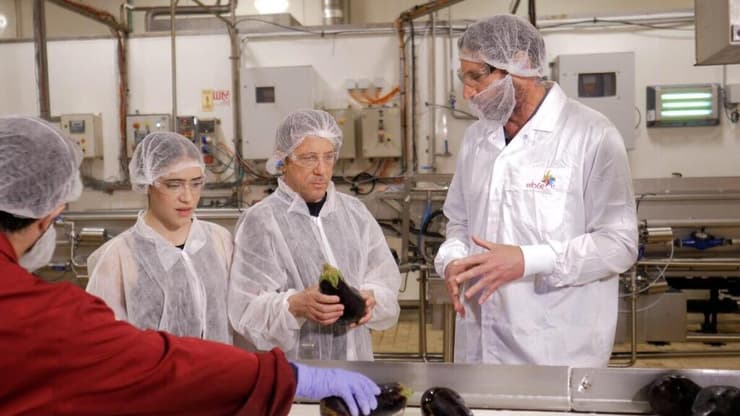 עידן ושירה אוכלים את הצפון פרק מפעל סלטים 