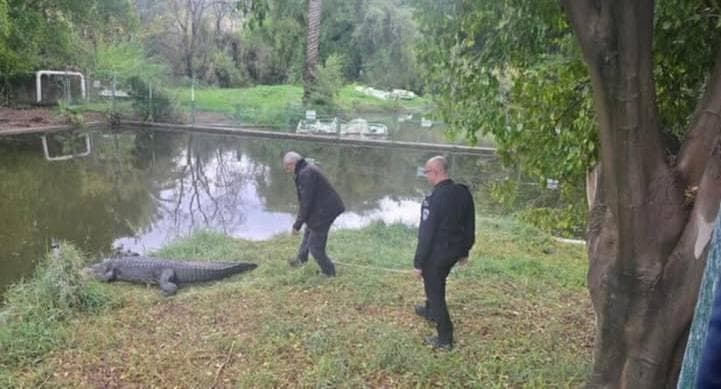 סיור של קציני שב"ס בחמת גדר