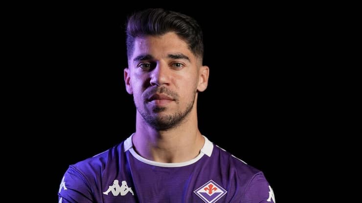 מנור סולומון פיורנטינה