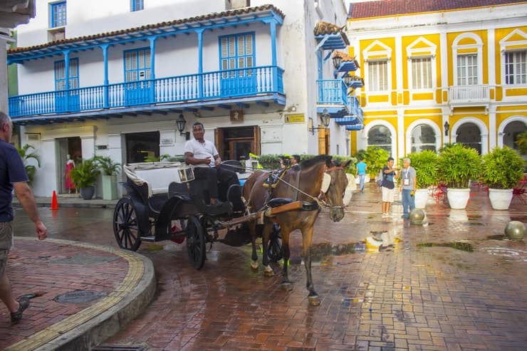 נהג מוביל כרכרת סוסים ברחובות קרטחנה