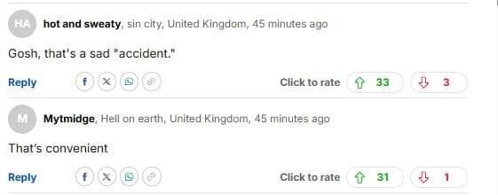 צילום מסך דיילי מייל