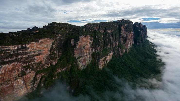 נוף בראשיתי: בוקר ערפילי על מורדות ה'טפוי' - ההרים העתיקים ביותר על פני כדור הארץ.