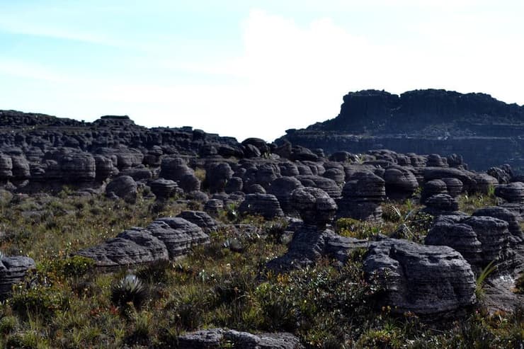 הסלעים ב - Mount Roraima