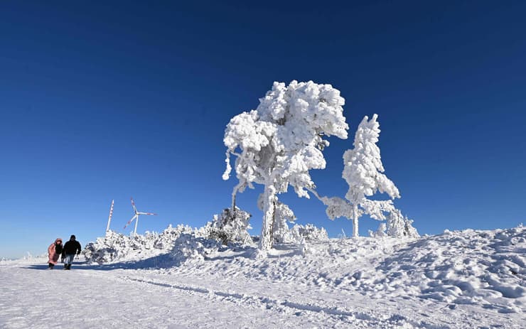 אירופה מזג אוויר גל קור גרמניה צפון היער השחור