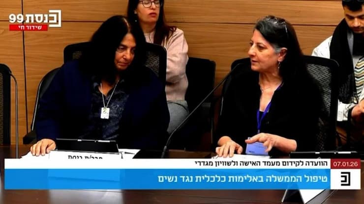 העדות של גלעדוב, היום בכנסת (צילום: ערוץ כנסת) דיון על אלימות כלכלית בזוגיות בכנסת