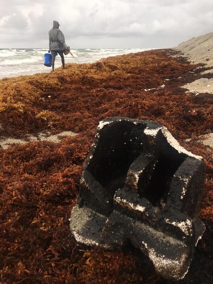 גומי שחור מנפט, שאותר על חופי פאלם ביץ' בפלורידה
