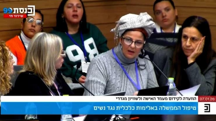 חני אסרף בדיון בוועדת הכנסת (צילום: ערוץ כנסת) דיון על אלימות כלכלית בזוגיות בכנסת