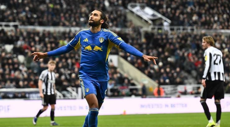 דומיניק קאלברט לווין חוגג