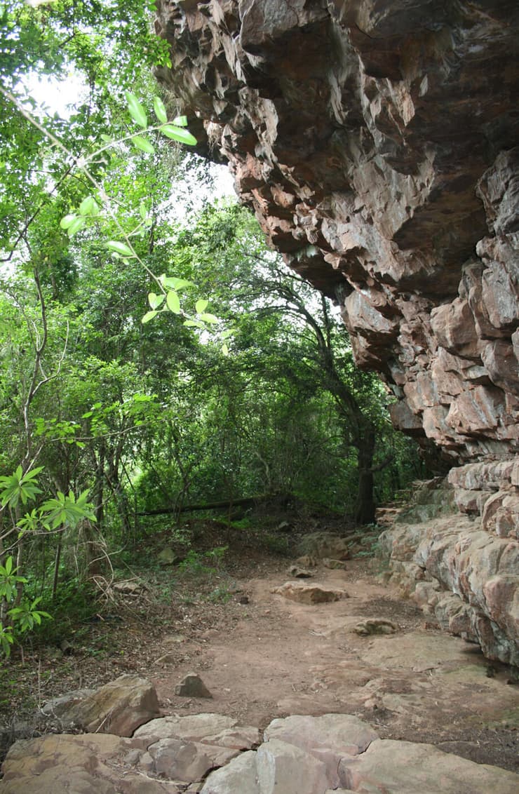 האתר בו נמצאו ראשי החץ המורעלים בדרום אפריקה