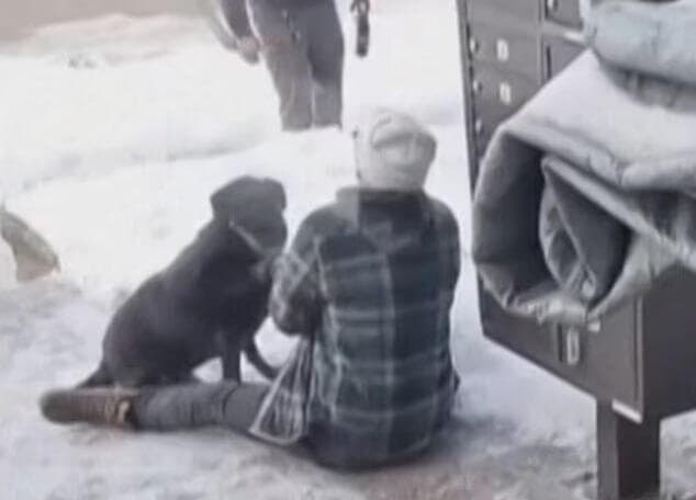 בת זוגה של גוד מוטלת על הקרקע. "זאת אשמתי, אני שכנעתי אותה לעבור לכאן!" ארה"ב זוגתה ההמומה של ניקול רנה גוד ש נהרגה בידי ICE מינסוטה מיניאפוליס