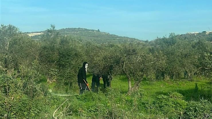 תיעוד רעולי הפנים בשומרון רעולי פנים שרפו רכב עם פלסטינים בתוכו