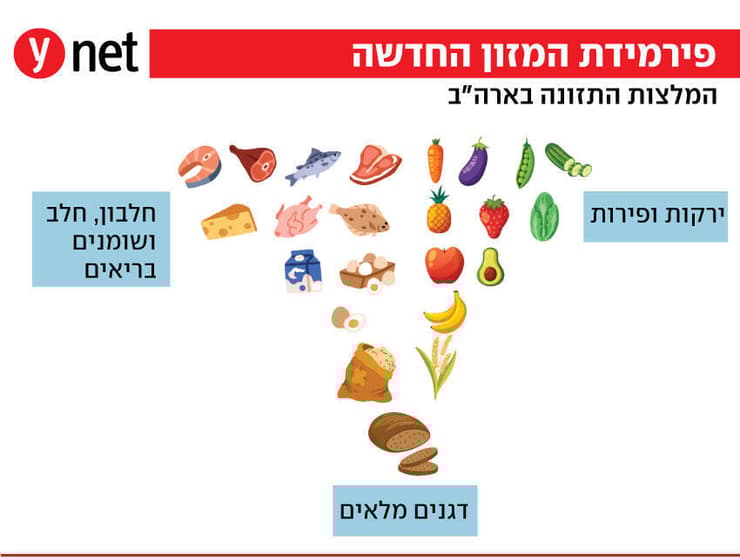 פירמידת המזון החדשה בארה"ב