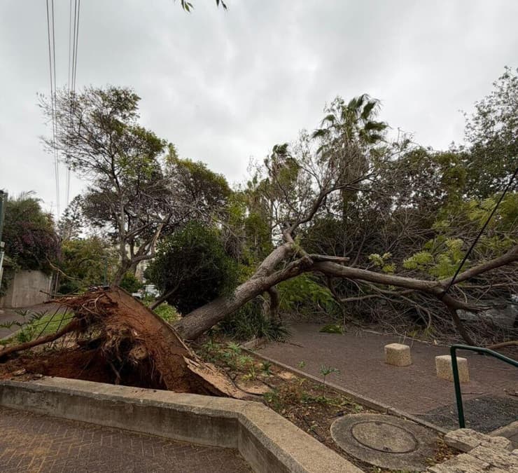 מצפה ים הרצליה