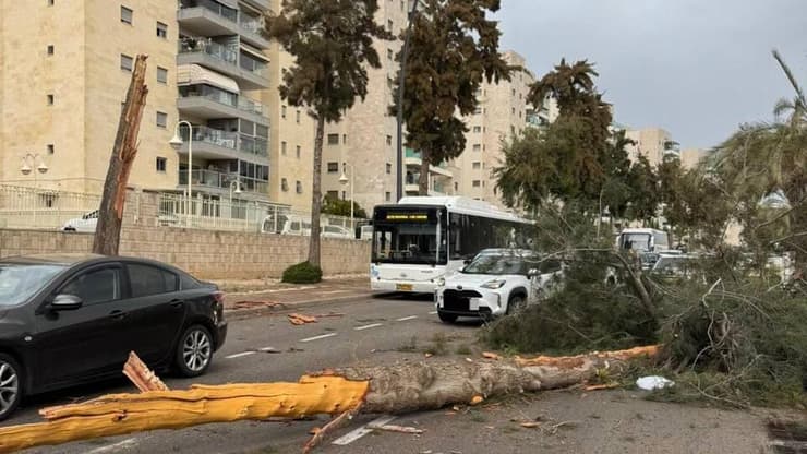 קריסת העץ שהובילה להתהפכות הרכב (צילום: דוברות מד"א) רכב שהתהפך לאחר שנפגע מעץ שקרס שדרות יצחק רבין באשקלון