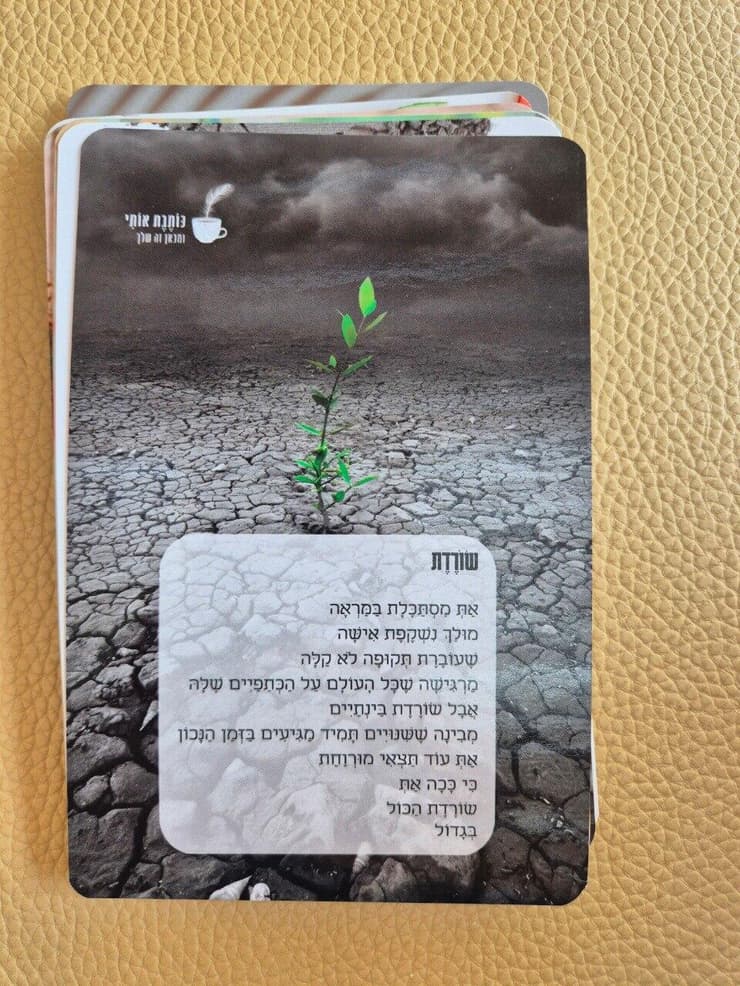 ליבת מלכה, אמו של סמ"ר מתן מלכה ז"ל שנפל בכיסופים ב-7 באוקטובר, עם קלפי ההשראה שלה