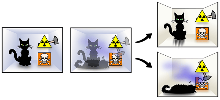 הרעיון הוא שחלקיק יכול להיות בו זמנית בשני מצבים, כפי שחתול לכאורה יכול להיות גם חי וגם מת. הניסוי המחשבתי שמגחיך את עקרון הסופרפוזיציה הפך מזוהה מאוד עם שרדינגר עם השנים