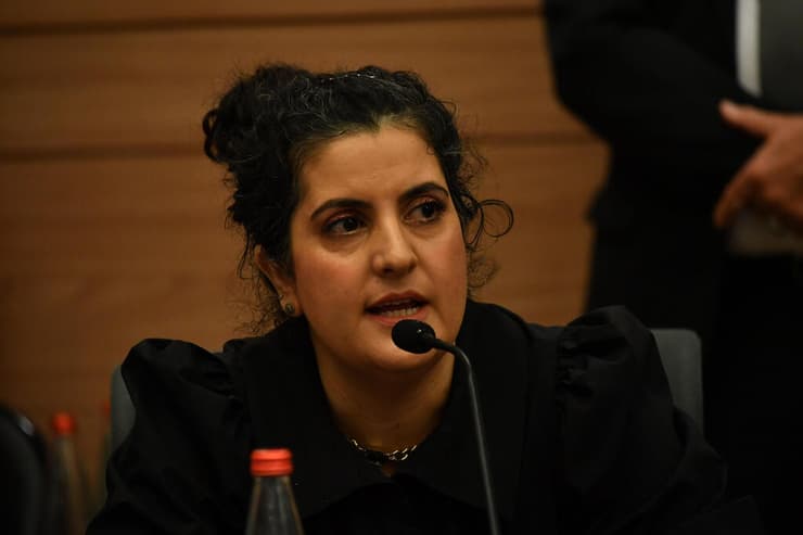 "תוכן החוק חורג מגדר הנושא של ההצעה המקורית". עו"ד שגית אפיק (צילום: יואב דודקביץ) שגית אפק