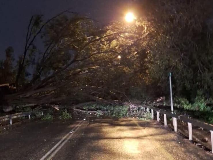 הכניסה לפרדס חנה כרכור נחסמה עקב קריסת עץ