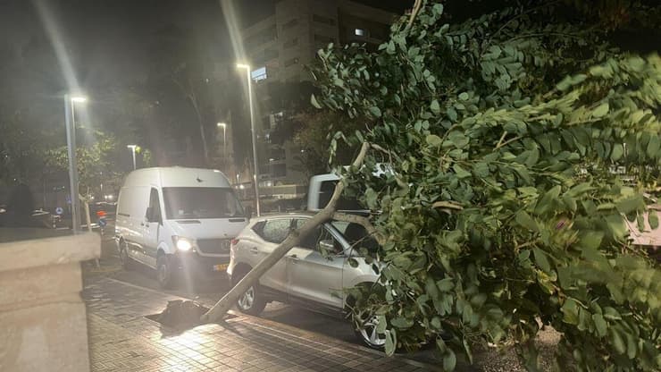 עץ קרס על רכב בעכו