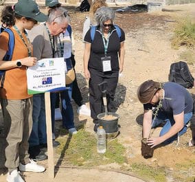 עץ שיטה לזכרה של מטילדה ז"ל
