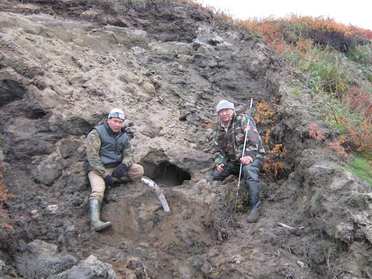 האתר בו נמצאו שרידי הזאב מעידן הקרח האחרון, בכפר טומאט שבצפון-מזרח סיביר