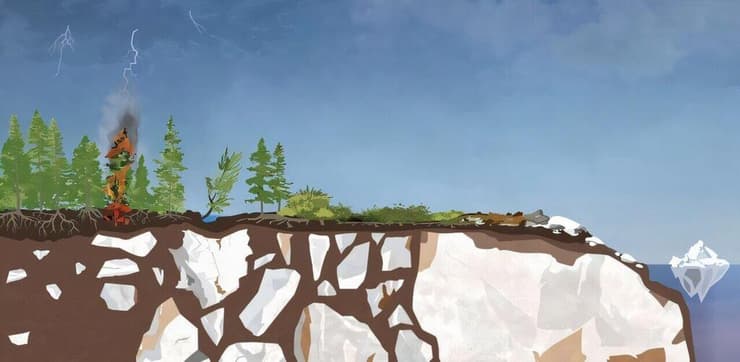 המחשה של גורמי והשפעות שריפות היער באזור הארקטי