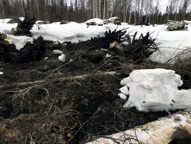 נזקי שריפת יער באלסקה, 17 ביוני 2020
