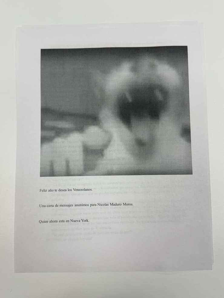 אזרחי ונצואלה ו מהגרים שולחים מכתבי הטרלה ל ניקולס מדורו ב כלא