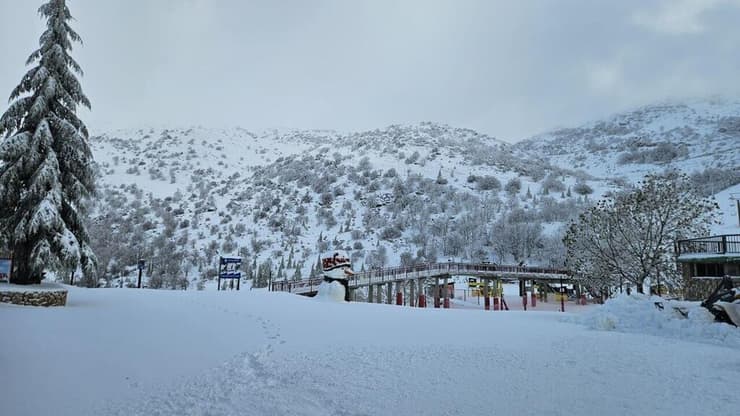 שלג רב באתר החרמון