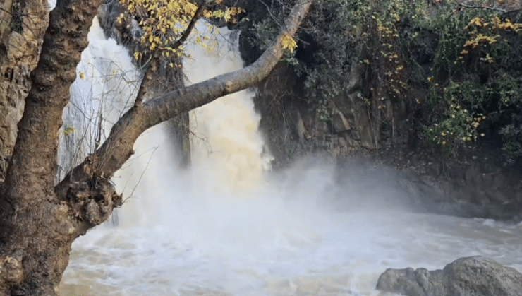 זרימה עוצמתית בבניאס