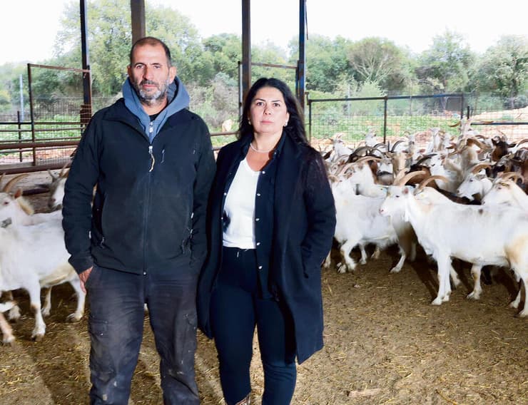 אילנית ודורון דדוש בדיר העיזים. "מרגישים שהממשלה עושה הכל כדי שלא נישאר פה. זו תחושת בגידה" | צילום: שאול גולן