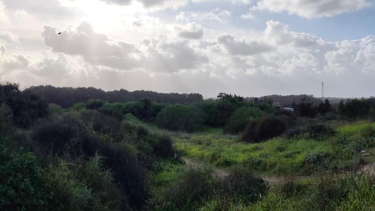 הסמארטפון +Redmi Note 15 Pro של שיאומי