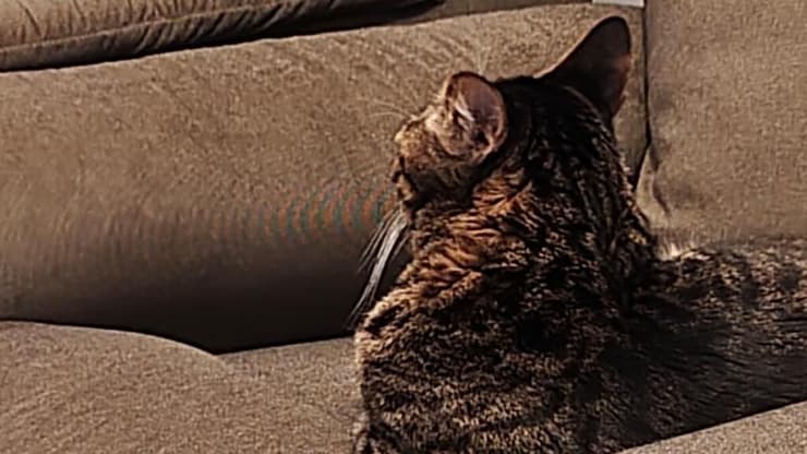 הסמארטפון +Redmi Note 15 Pro של שיאומי