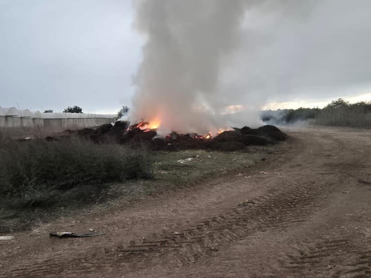 שריפת פסולת