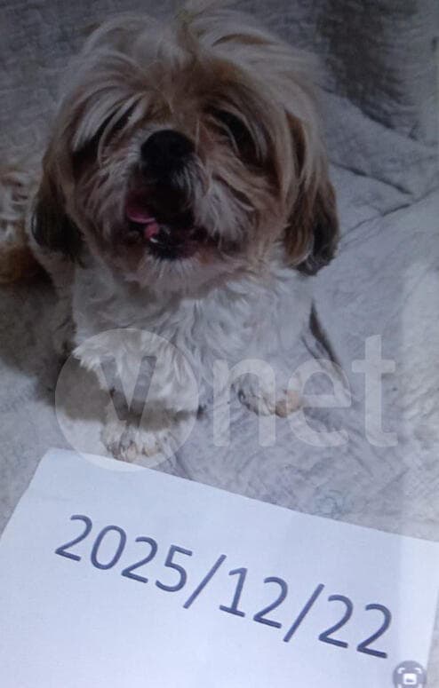 תמונה הכופר ששלחו החוטפים של לונה הכלבה