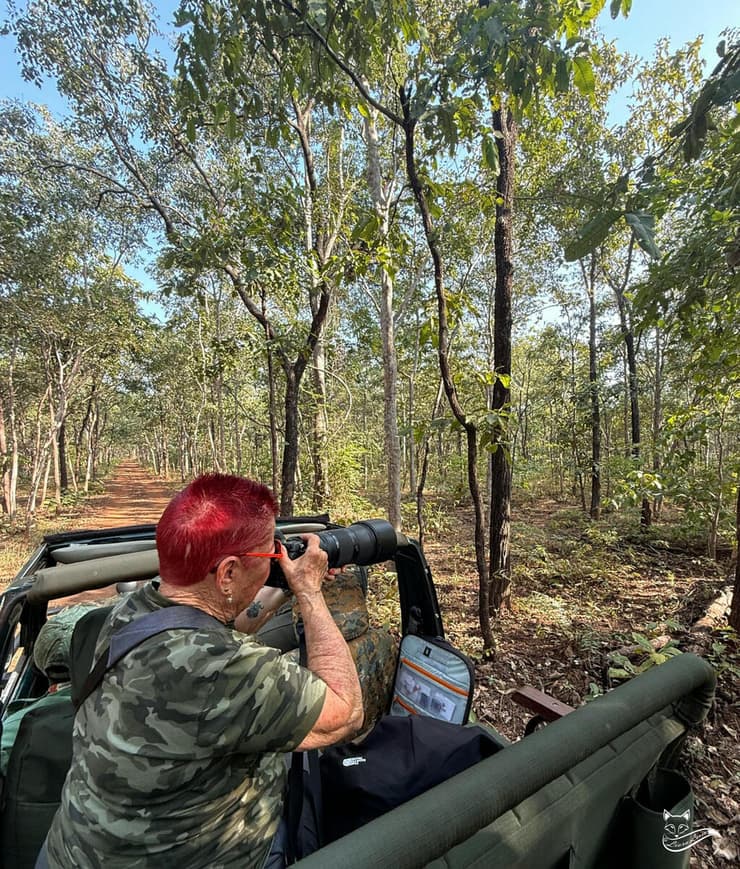 ליאורה לוין מצלמת טיגריסים בהודו